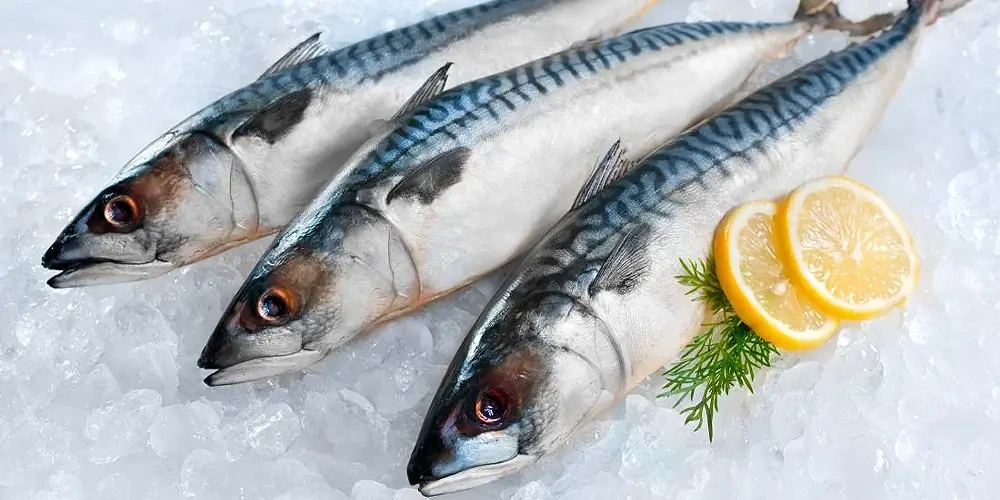 خواص ماهی؛ خوردن ماهی چه فوایدی دارد؟ | انتخاب ماهی با کیفیت