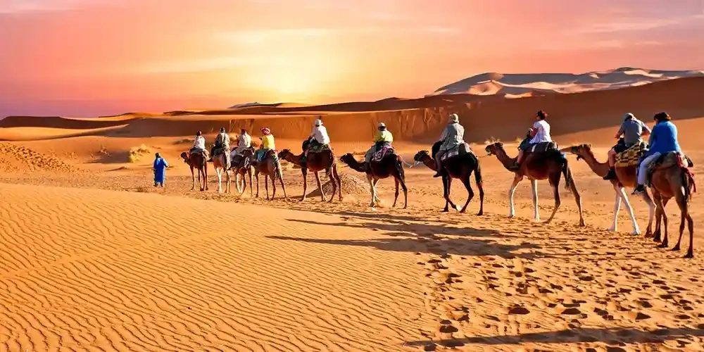 صحرای عربستان | کویر چیست؟
