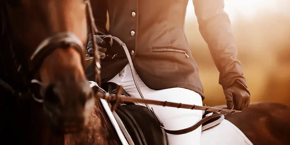 تجهیزات اسب سواری | لیست کامل تجهیزاتی که در ابتدای سوارکاری نیاز دارید