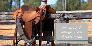 انواع زین اسب | معرفی 10 نوع مختلف زین اسب و کاربرد آنها