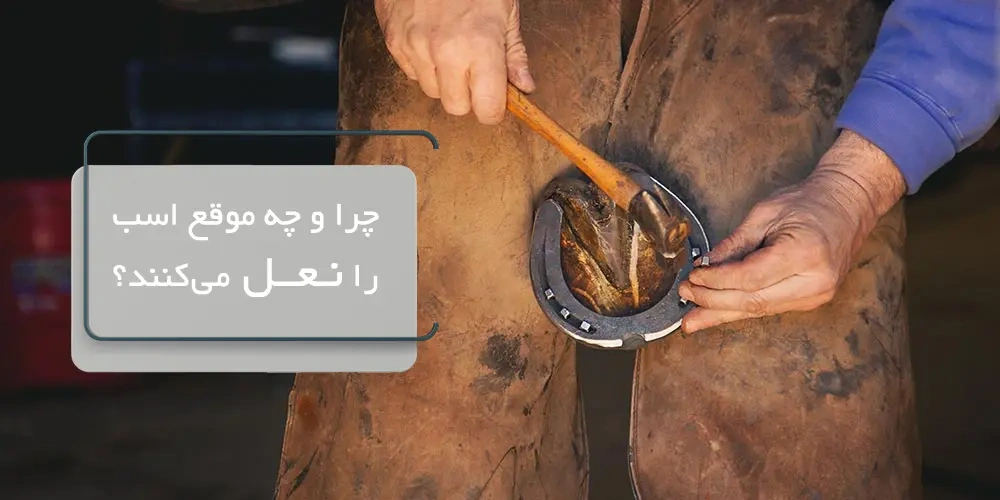چرا و چه موقع اسب را نعل میکنند؟