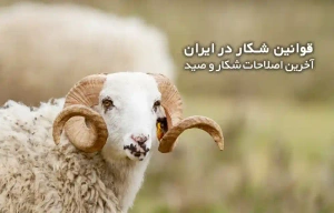 قوانین شکار در ایران | آخرین اصلاحات قانون شکار و صید