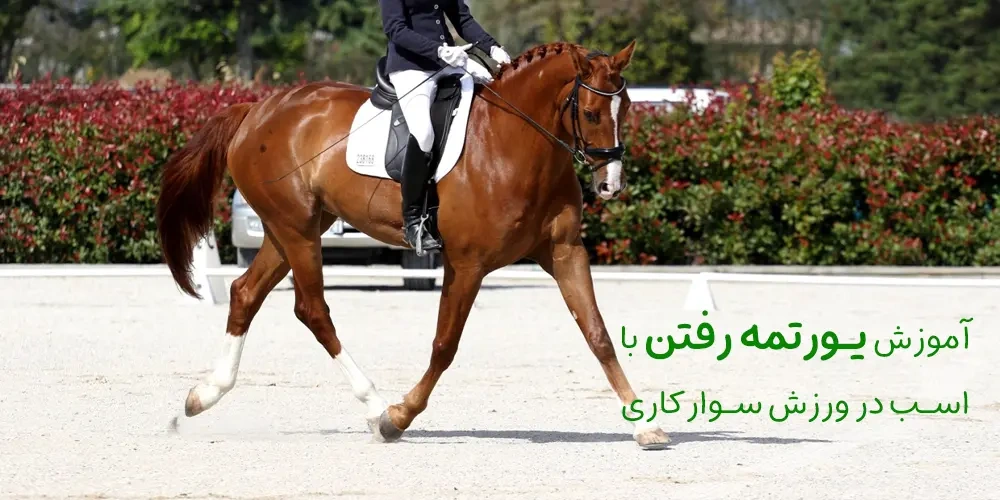 horse-riding-trot | آموزش یورتمه رفتن با اسب در ورزش سوارکاری