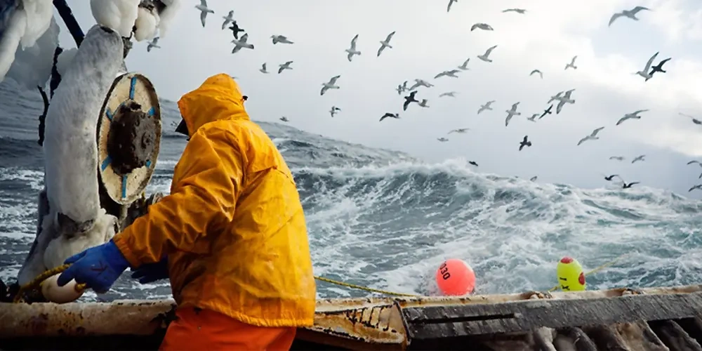 خطرات و آسیب دیدگی احتمالی در شغل ماهیگیری