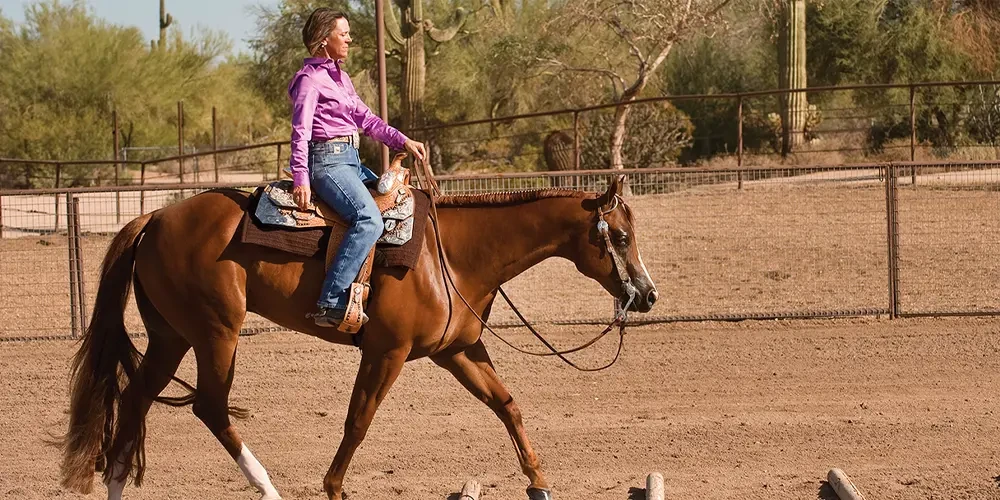 نگاه کردن به اسب |  آموزش سوارکاری برای مبتدیان 