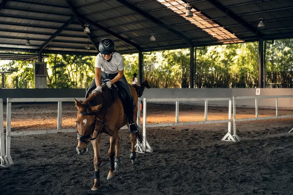 چگونه می‌توانیم یک اسب سوار حرفه ای شویم؟ | نحوه برخورد و آموزش افراد مبتدی و تبدیل آنان به یک اسب سوار حرفه ای