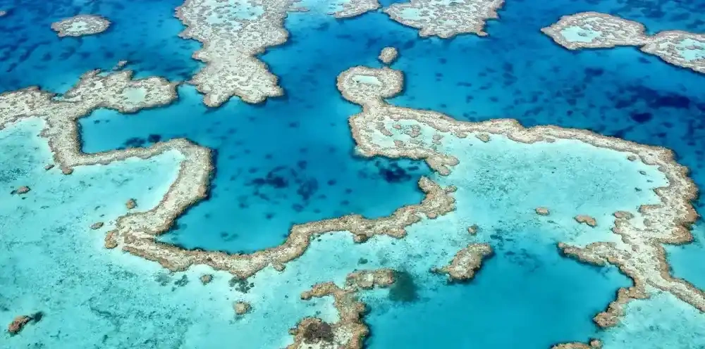 دیواره مرجانی بزرگ سواحل کوئینزلند