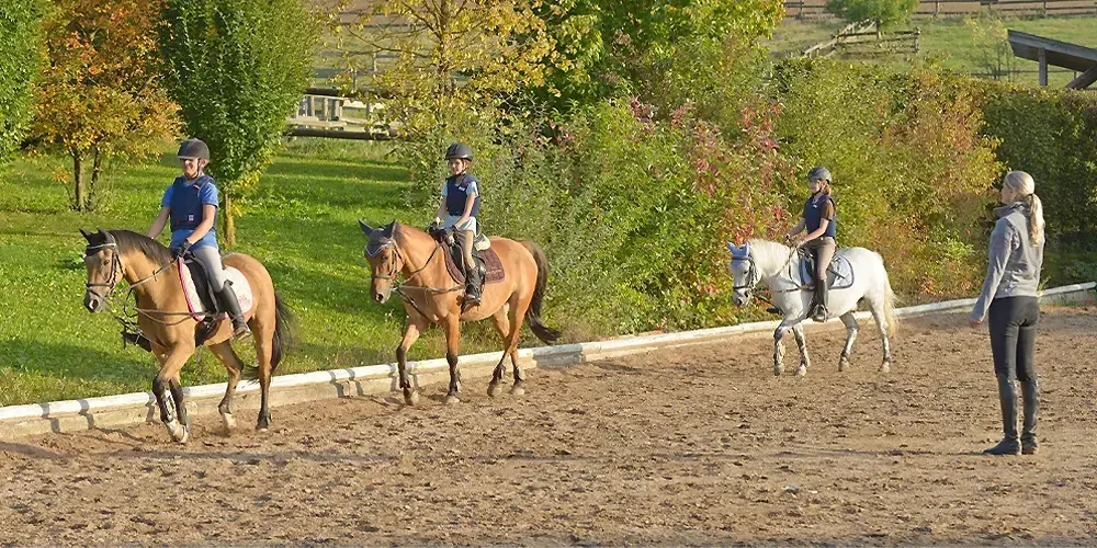 نکاتی برای آموزش سوارکاری به مبتدی‌ها |  اسب و اسب سواری