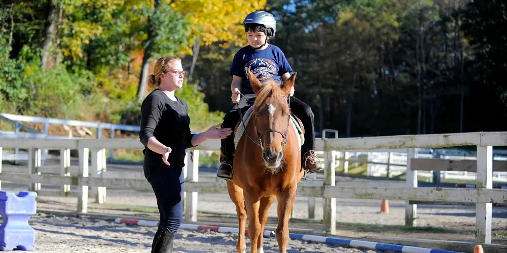 چگونگی همگام شدن با ریتم حرکت اسب |  آموزش سوارکاری برای مبتدیان 