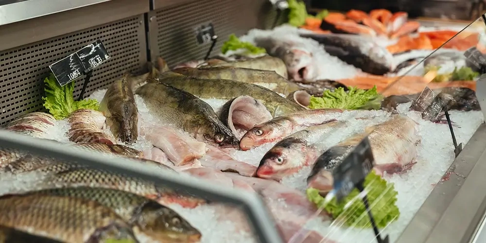 در هنگام خرید ماهی بسته‌بندی چه فاکتورهایی را در نظر بگیریم؟ | انتخاب ماهی با کیفیت