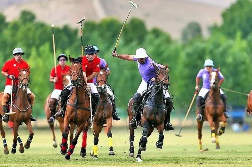 تاریخچه اسب و سوارکاری در ایران و به کارگیری آن در انواع ورزش‌ها