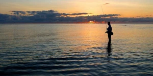 fishing-in-the-south-of-iran | هیجان ماهیگیری در جنوب ایران | خطه‌ی آرامشبخش جنوبی‌ترین نقاط ایران