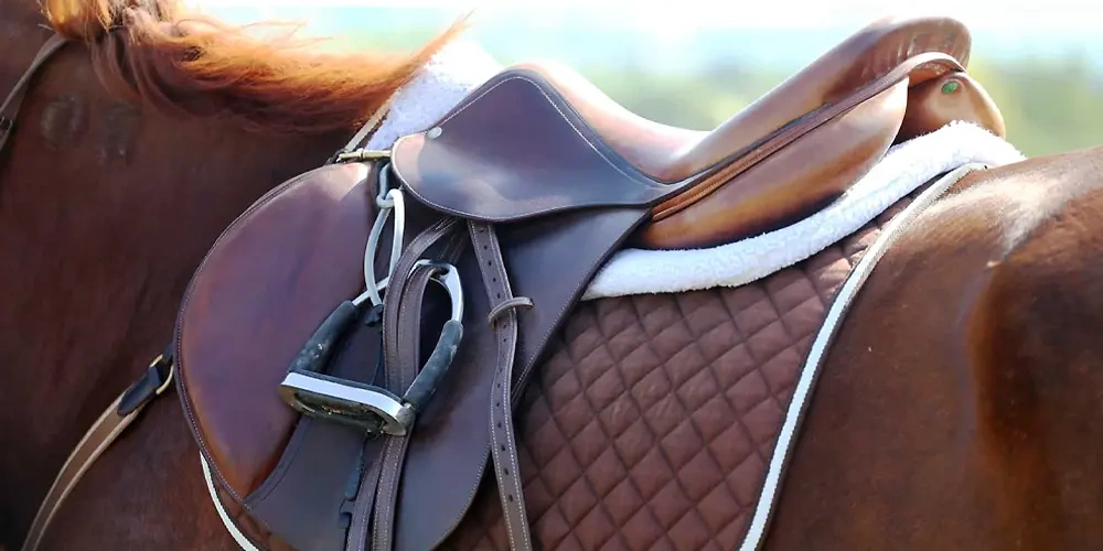 زین اسب (Horse Saddle) | تجهیزات اسب سواری