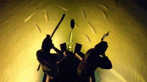 ویدیو ماهیگیری با تیر و کمان در شب - تارگتینو