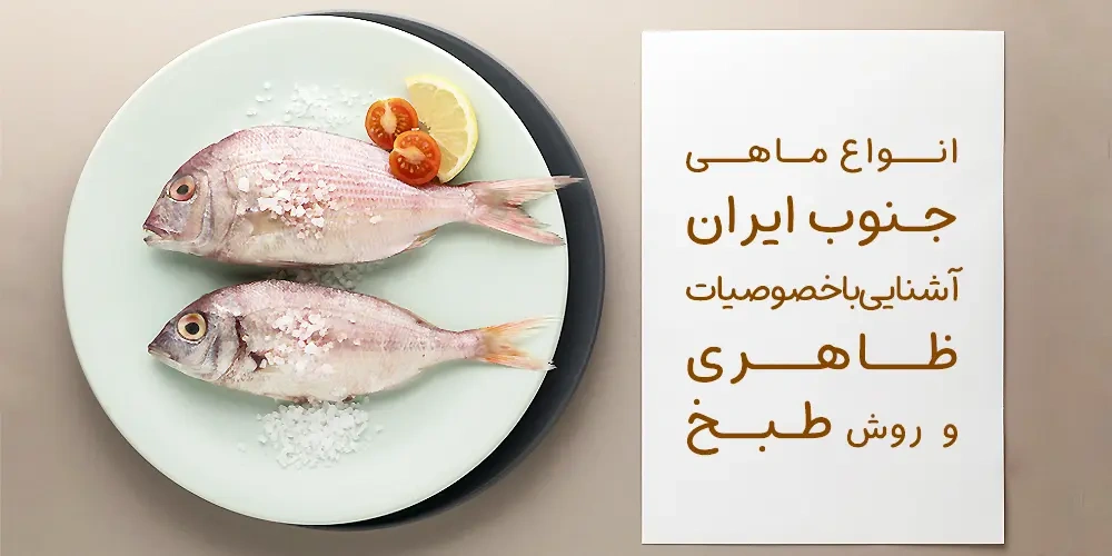the-kinds-of-south-fishes | آشنایی با خصوصیات ظاهری و روش طبخ انواع ماهی جنوب ایران