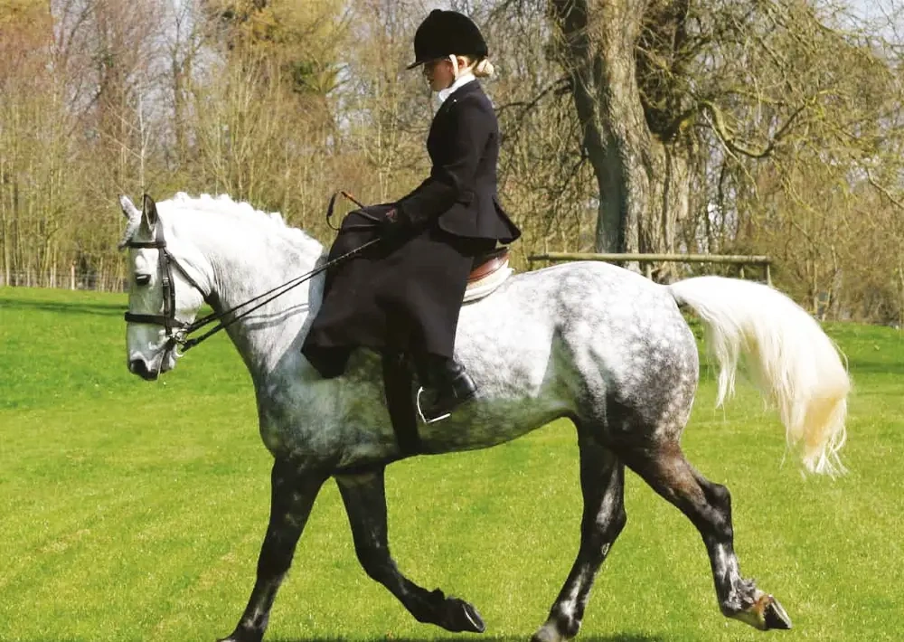 7. زین ساید (Side Saddle)  | انواع زین اسب