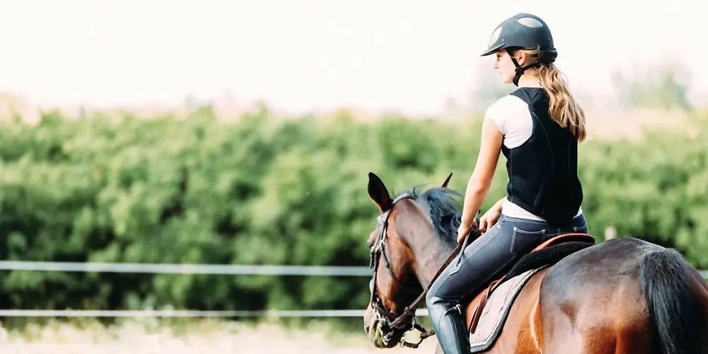  نحوه تاختن با اسب و سرعت بیشتر در اسب سواری |  آموزش سوارکاری برای مبتدیان 