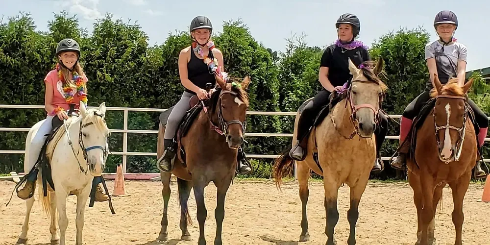 چگونگی کنترل اسب در ورزش اسب سواری