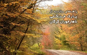 راهنمای بازدید از پارک جنگلی ناهارخوران گرگان