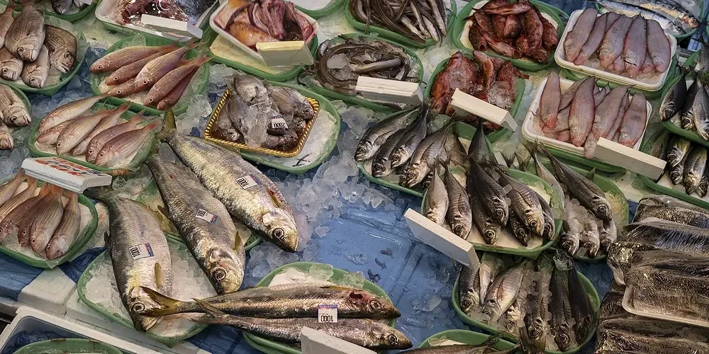 راهنمای خرید و انتخاب ماهی با کیفیت؛ در هنگام خرید ماهی تازه، چه فاکتورهایی را در نظر بگیریم؟