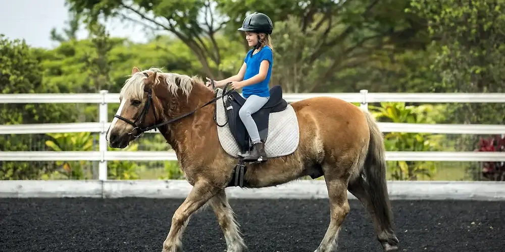 مزایای یادگیری اسب سواری برای کودکان