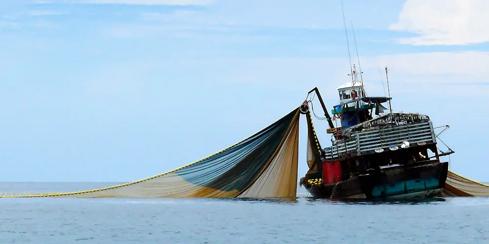 روش‌های ماهیگیری آسیب رسان به محیط زیست