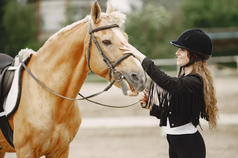 چگونه می‌توانیم یک اسب سوار حرفه ای شویم؟