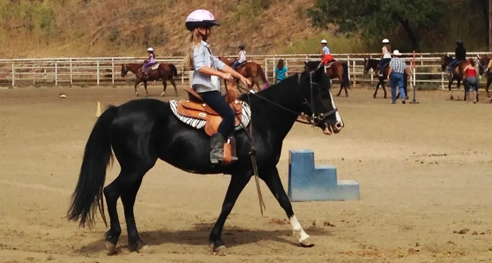 5. زین کودکان (Youth Saddle) | انواع زین اسب