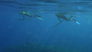 ویدیو یک سال با ماهیگیری نیزه ای در فیجی