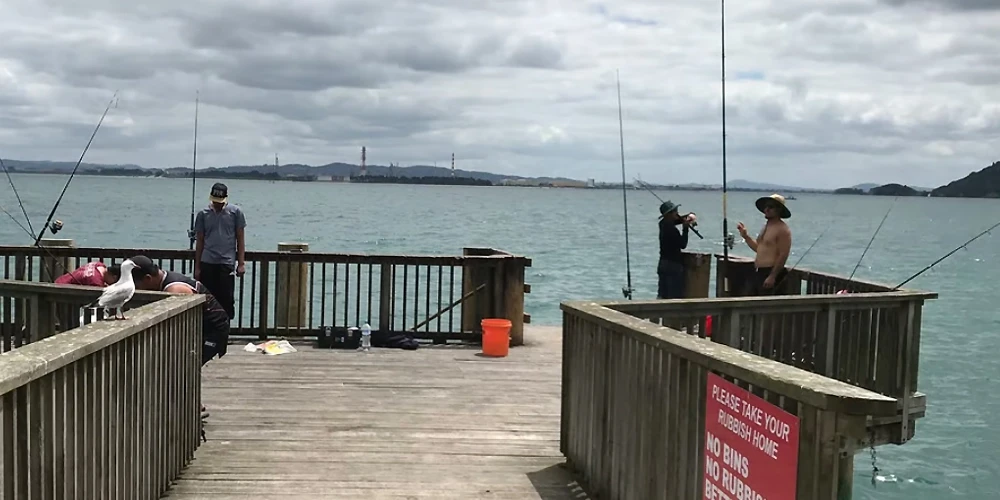 6. ماهیگیری در اسکله 