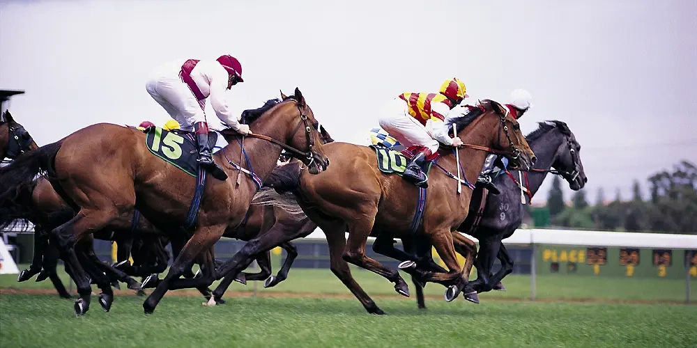 مسابقات Claiming |  اسب و اسب سواری