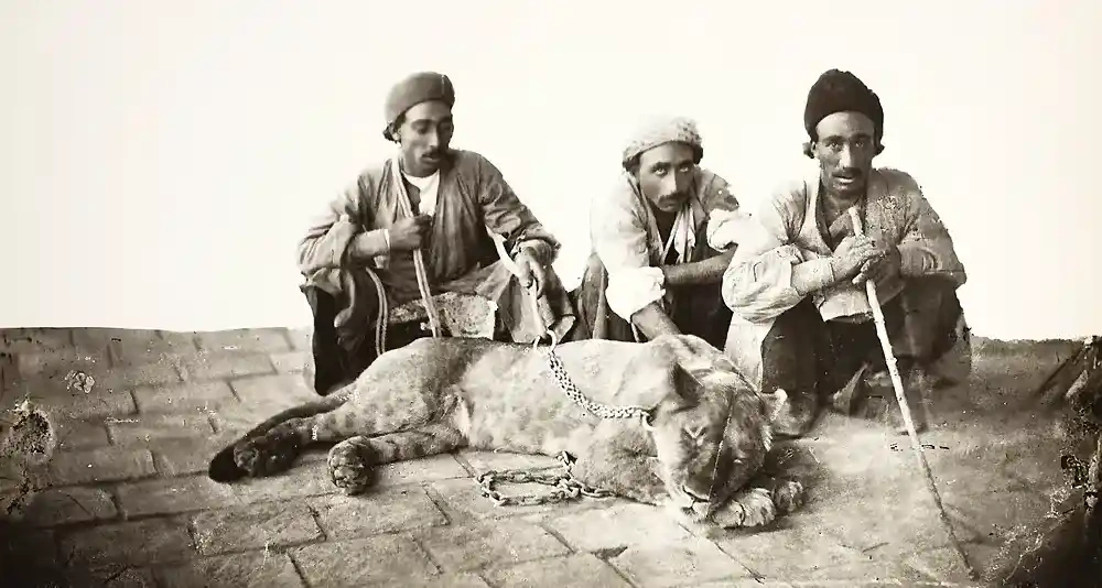 تاریخچه شکار در ایران