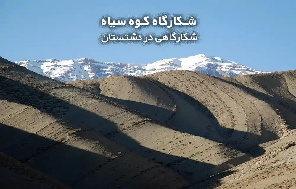 شکارگاه کوه سیاه، شکارگاهی در دشتستان