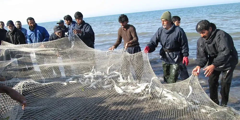 ماهیگیری در دریای کاسپین؛ آیا در دریای مازندران ماهیگیری امکان‌پذیر است؟
