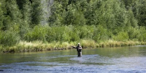 روش های ماهیگیری در رودخانه | بهترین روش صید ماهی در رودخانه کدام است؟