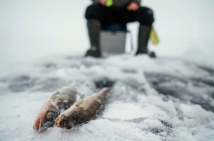 ماهیگیری با نیزه روی یخ یک سنت قدیمی برای ساکنان مناطق سردسیری است. این روش ماهیگیری توسط اروپایی‌ها در سال 1763 به ثبت رسیده اما صید ماهی با نیزه روی دریاچه‌ها و رودهای یخ زده از انسان باستانی آغاز شده است و تا به امروز هم با ابزارآلات جدید ادامه دارد.