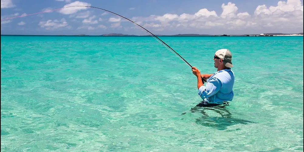 مکان‌های مناسب ماهیگیری ورزشی در دنیا 