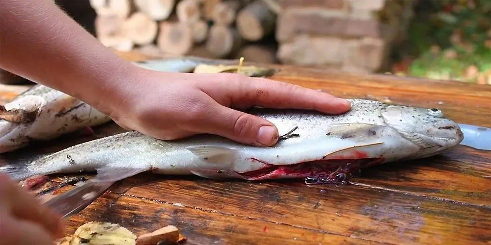 نحوه پاک کردن ماهی | ماهیگیری چیست؟