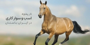 history-of-horses | تاریخچه اسب و سوارکاری در ایران باستان