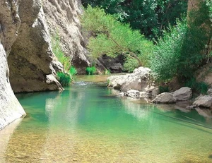 تور آب نوردی دره اردشیری از شیراز