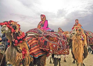 تور عشایرگردی از شیراز