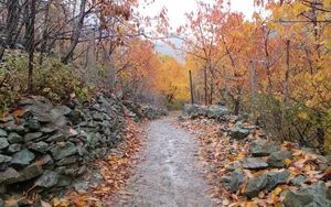 سفر پاییزی یک روزه روستای آهار به آبشار شکراب | 11آبان